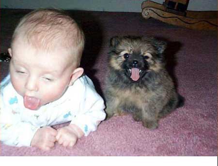 Funny Baby pictures & photos # 2