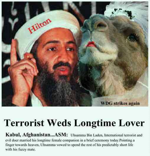 bin laden funny. Funny pictures of osama in