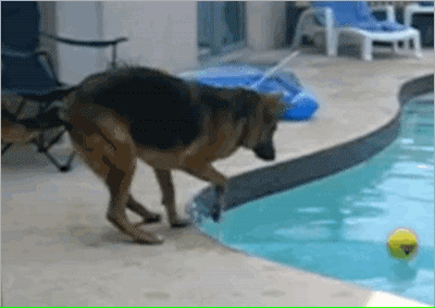 Funny Animated Gif pictures #61