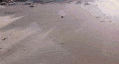 Funny Animated Gif pictures #235