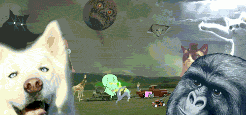 Funny Animated Gif pictures #252