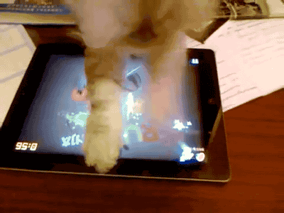 Funny Animated Gif pictures #347