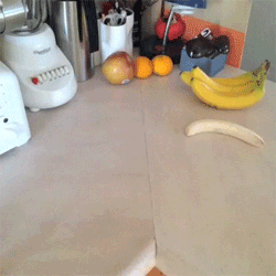 Funny Animated Gif pictures #52