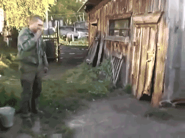 Funny Animated Gif pictures #185