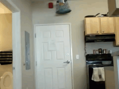 Funny Animated Gif pictures #378